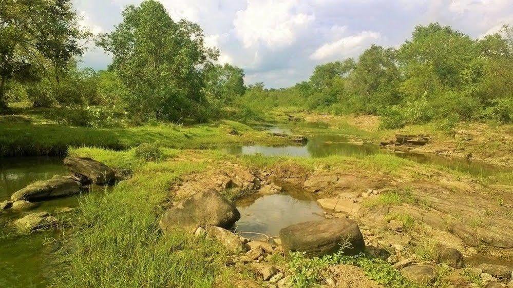 Kula Kula Luxury Camping Resort Udawalawe Buitenkant foto