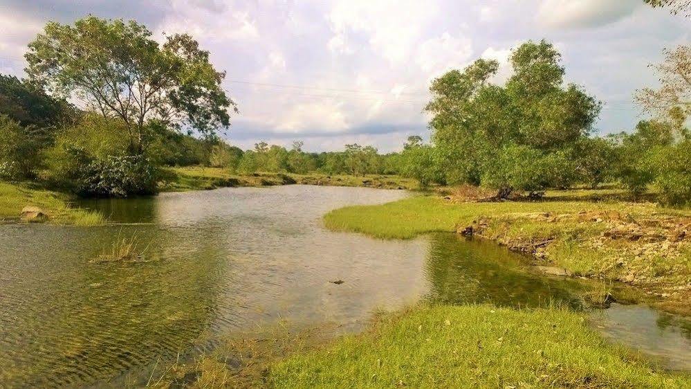 Kula Kula Luxury Camping Resort Udawalawe Buitenkant foto