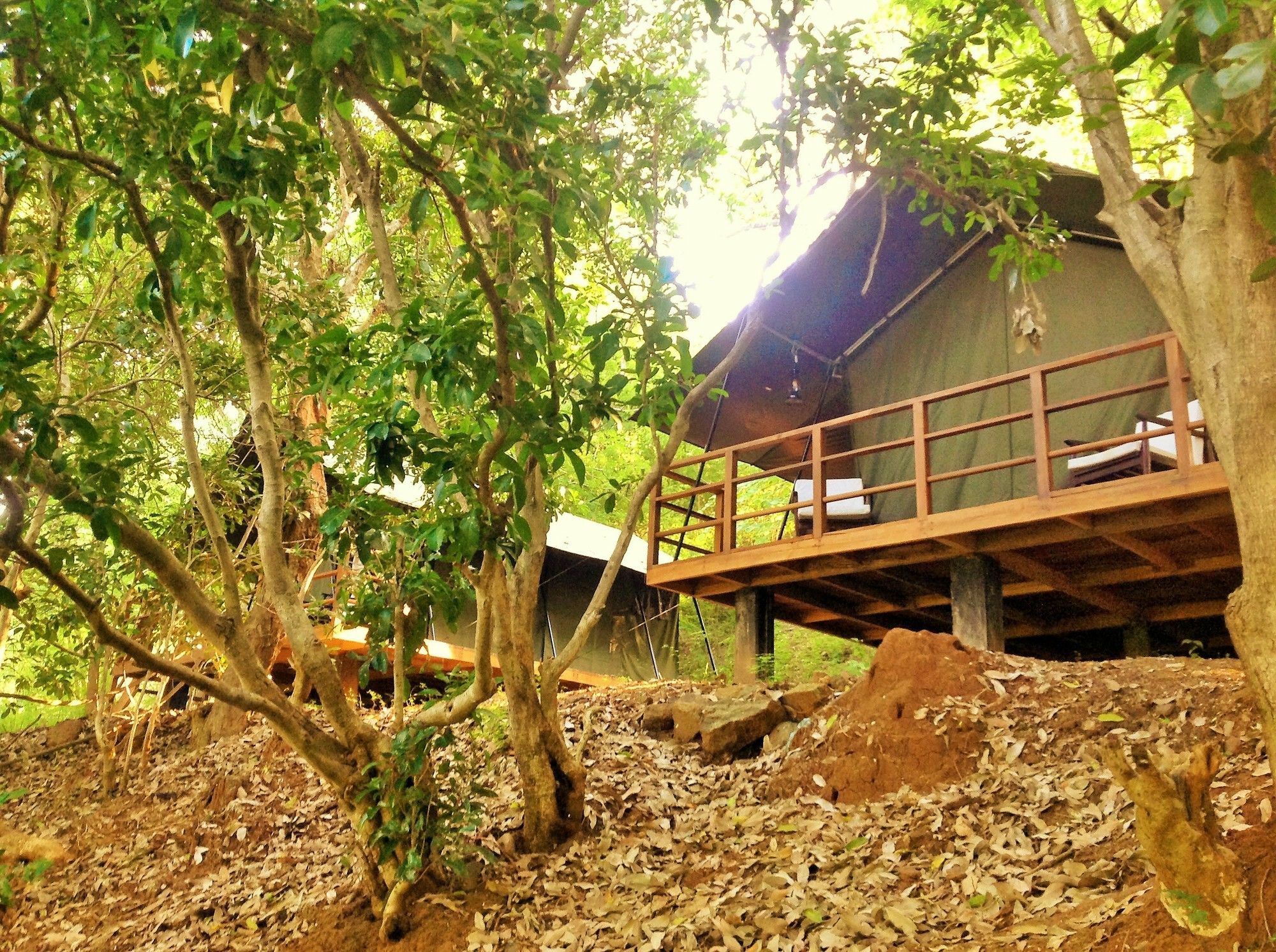 Kula Kula Luxury Camping Resort Udawalawe Buitenkant foto